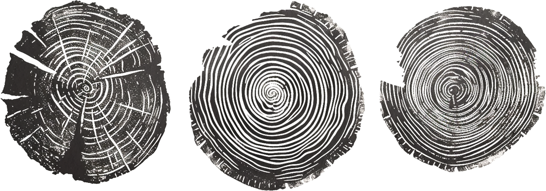 https://fultonstreetmediagroup.com/wp-content/uploads/2024/02/tree-rings.png